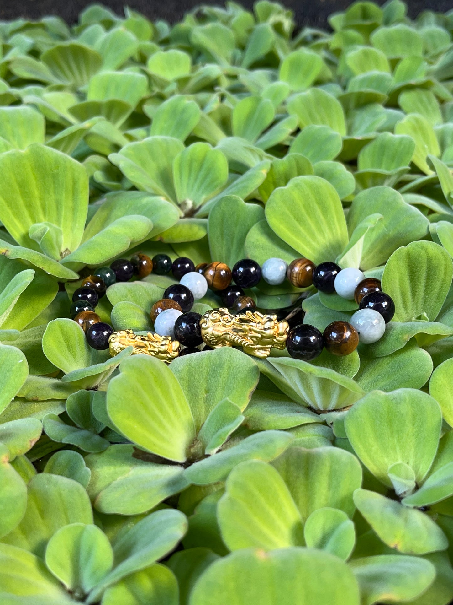 2025 Crystal Recommendation - Tiger Eye, Amethyst, & Jade