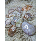 flower agate palm stone SALE!!