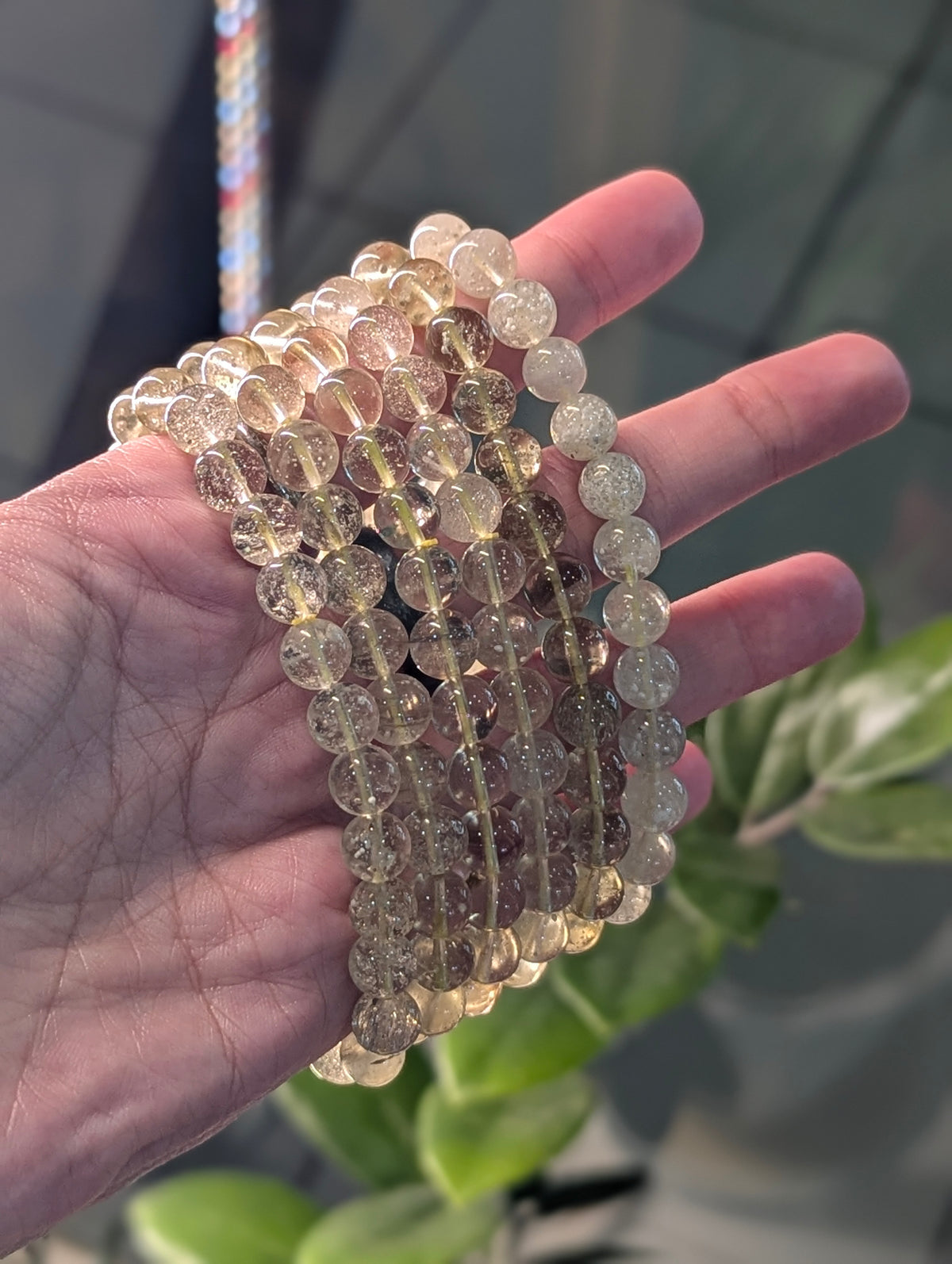 Libyan Desert Glass Bracelet (8mm)