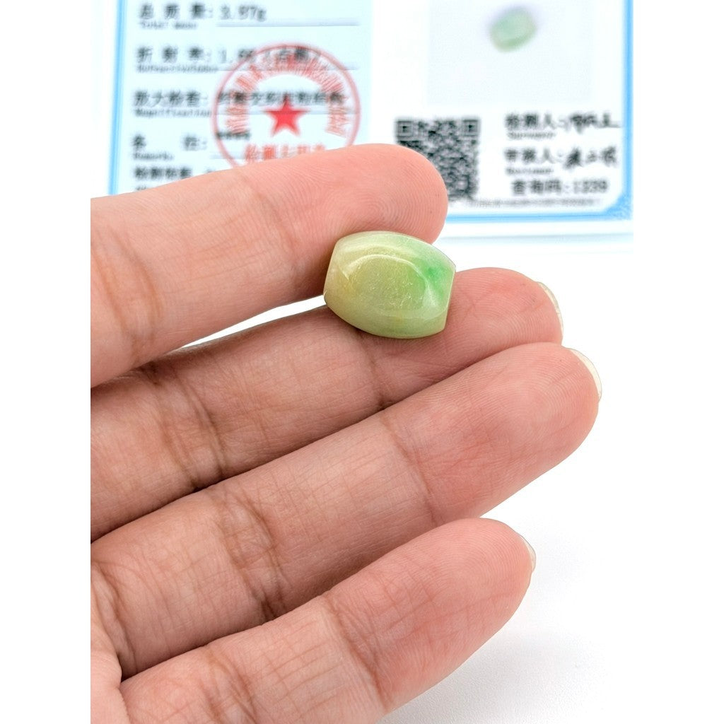 Jade Barrel Pendant with Certificate | Free stainless Gold or Silver Chain (18/20cm)