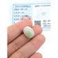 Jade Barrel Pendant with Certificate | Free stainless Gold or Silver Chain (18/20cm)