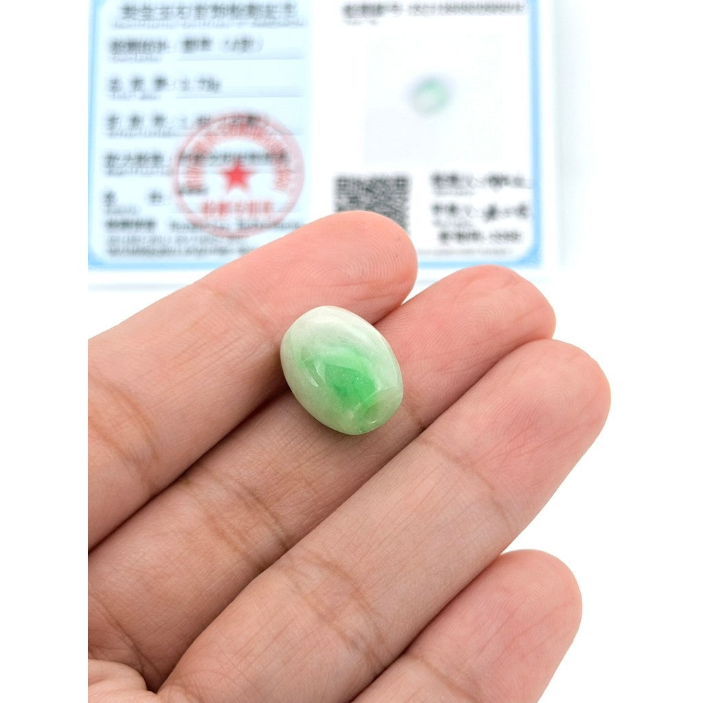 Jade Barrel Pendant with Certificate | Free stainless Gold or Silver Chain (18/20cm)